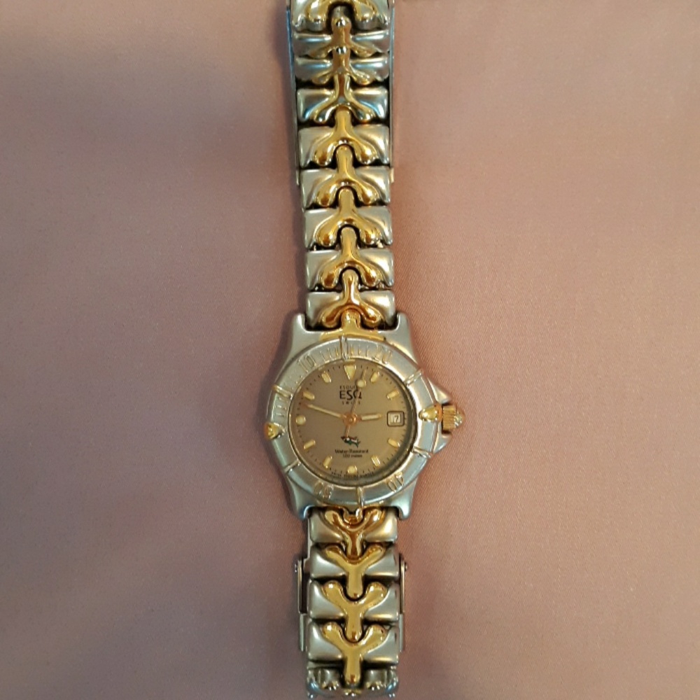 ESQ watch